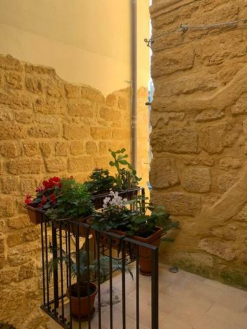 Apartment Piano Di Gamez *